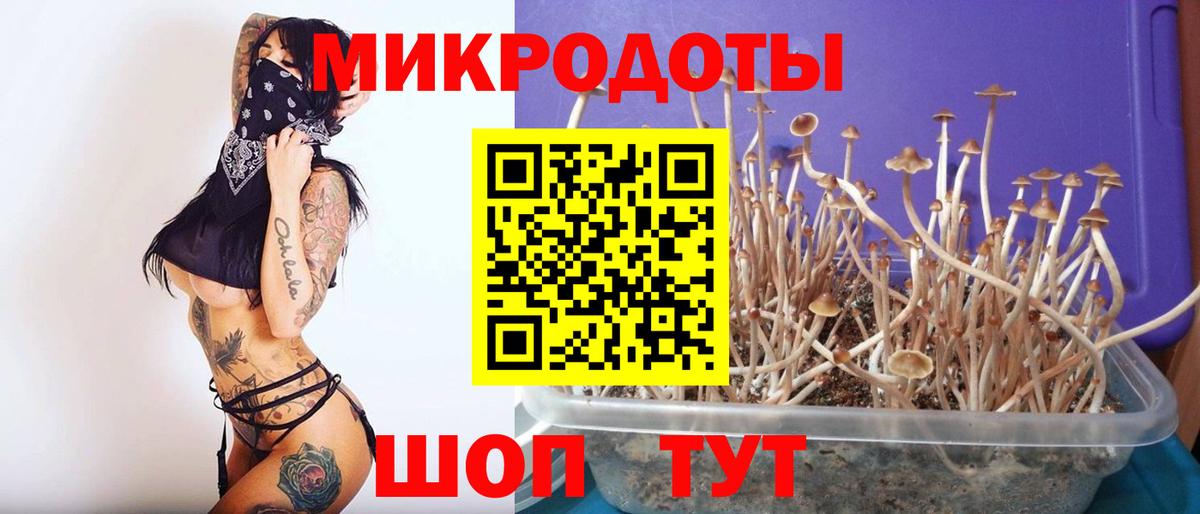 купить   Вход с VPN  Новоалександровск  Галлюциногенные грибы Psilocybine cubensis 