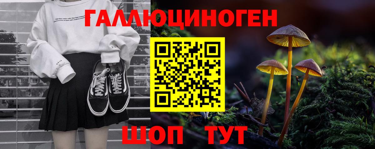 Галлюциногенные грибы Psilocybe Новоалександровск